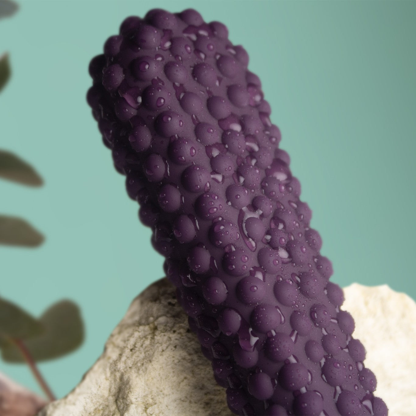 MyKori di Soma Therapies